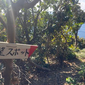 最後に少し登って、展望スポット