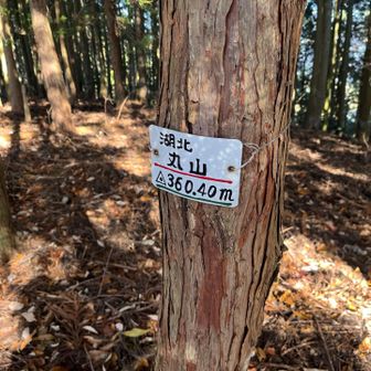 5個目ピークの湖北丸山