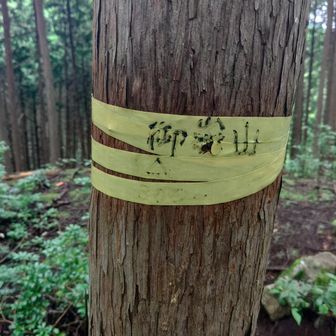 何もない、と思いきや山名の意味がこのあとわかります。