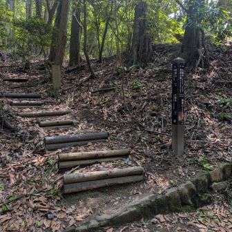 ここがちょっと分かりにくく、YAMAPを見ながらうろうろ。
①分岐を左に折れ、少し進む②右側に現れる再度山への階段へ。