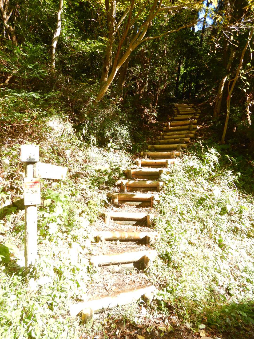 林道の向こう側に登山口あり