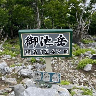 眺望少ないので通過