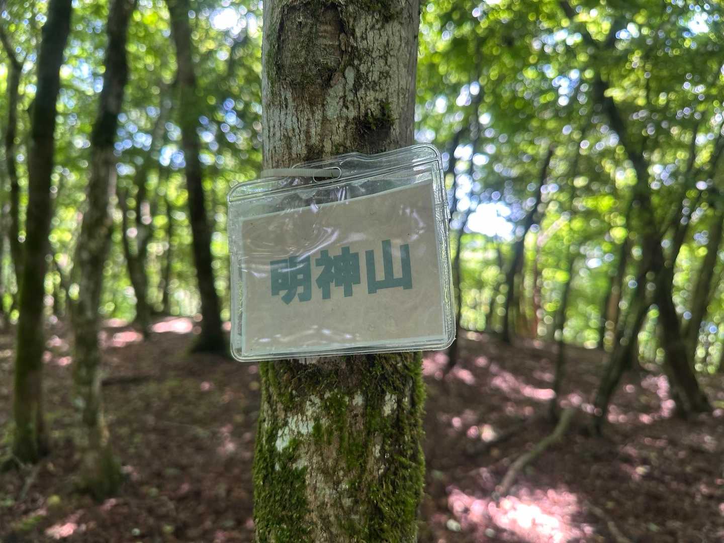 行きに見つけそびれたネームプレート