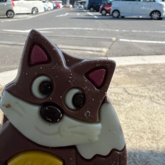 いただいたお土産を一瞬で食べ過ぎた🍫笑
その後の外国人のペースと行動の観察してたら、
下山がどんどん遅くなって帰りほぼ早歩き😂
無事に日の入前に終了‼︎