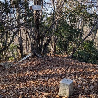 折角なのでブドー沢の頭にやってきた。

点名: 小三國
標高: 1658.3 m
種別: 二等三角点