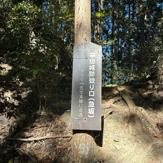 急坂と書いてある通りとっても急登でした