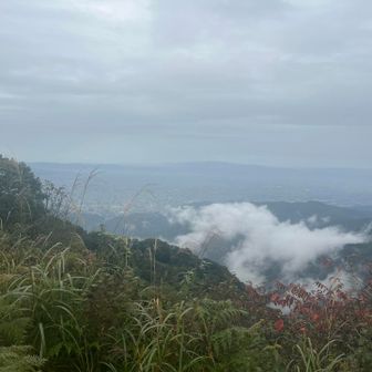 雲が愉快