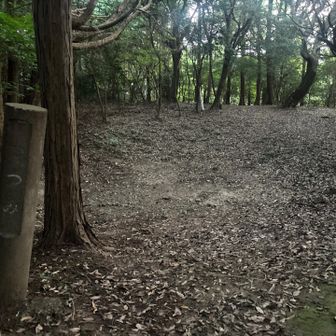 貯水池跡