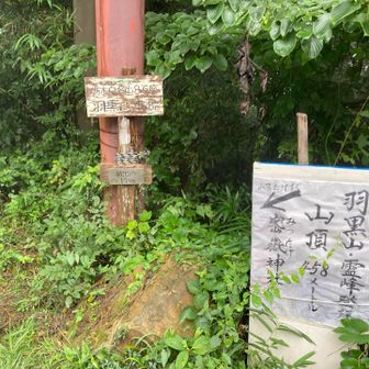 登頂