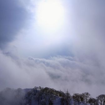 ボワッと　もう少しで雲海なんだけど贅沢は言いません笑
