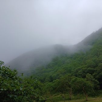 前白根山方面
登る計画でしたが、雲の中で五色沼が見えそうにないので、止めて沼に向かいます