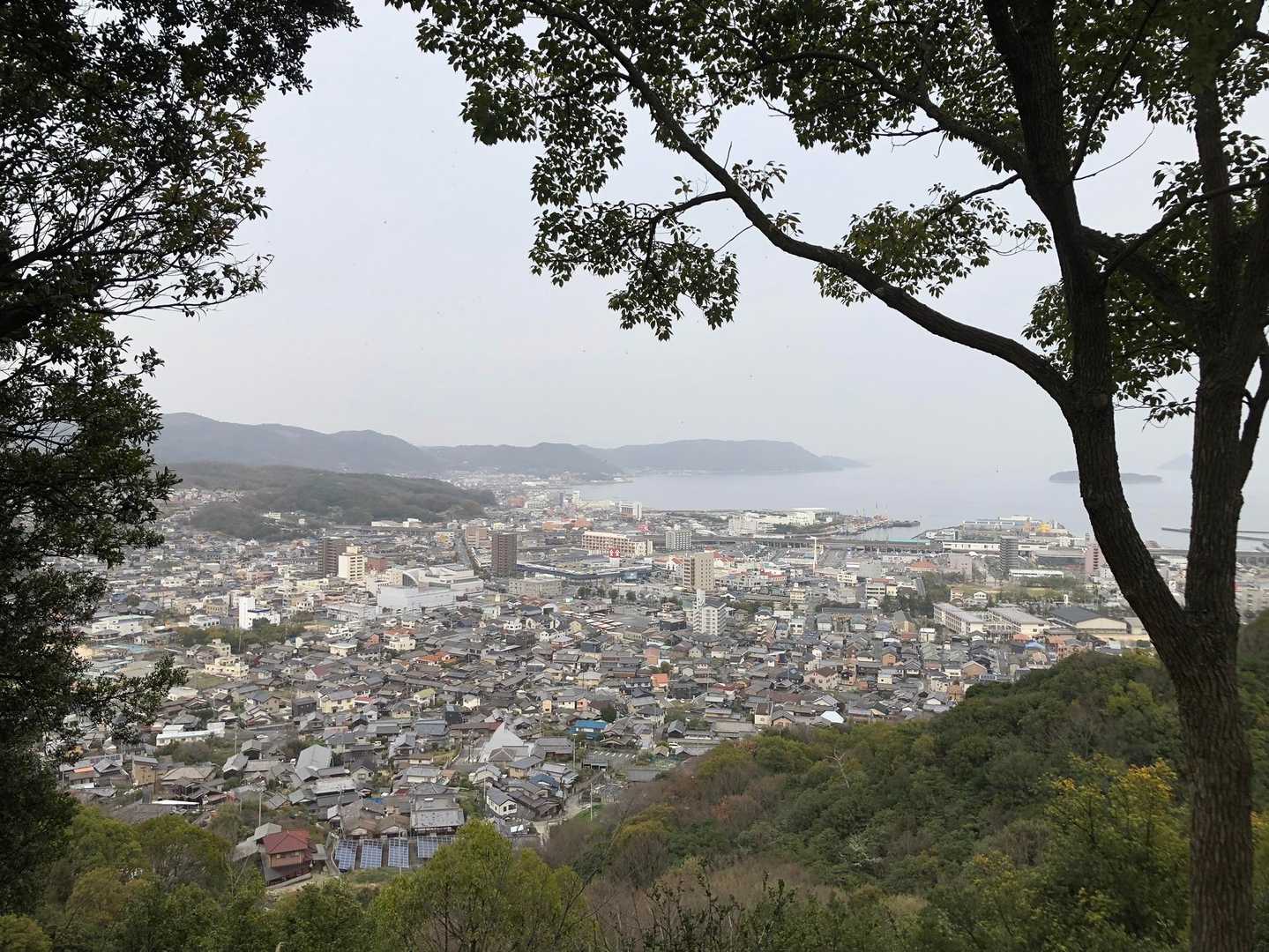 龍王山ほんといいところです。
マイ百名山決めるなら白木山と龍王山は絶対入れる。