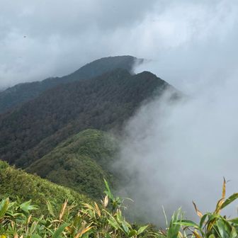 少し進んで廃道？方面。