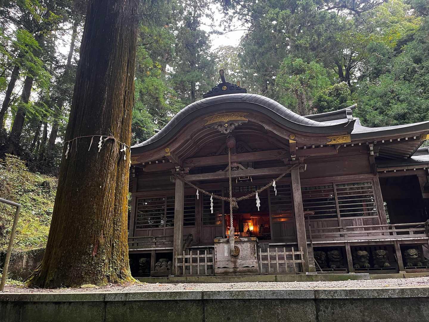 西金砂神社-西金砂山-地割 往復コースの写真