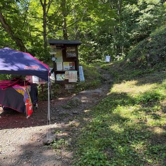社殿の少し下に登山口があります。