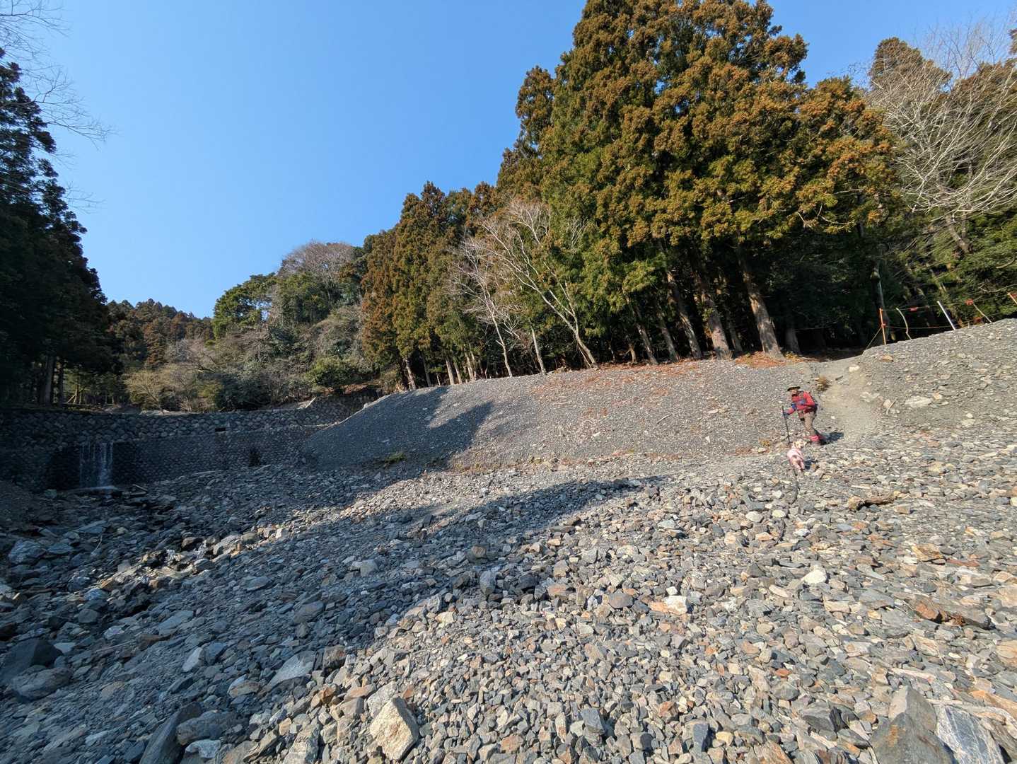 アスファルト道路手前