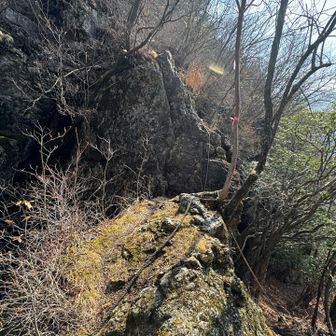 分岐点まで戻り山頂へ