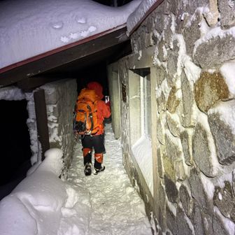 どうしますかねー、