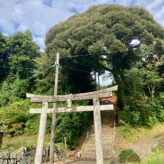 徳巌寺の駐車場に停めさせて頂き、先ず中須八幡宮にお参りします。