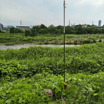 探索終了