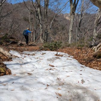 この後、結構雪道。
