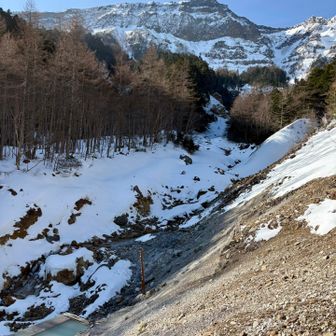 最終日は帰るだけなので２回目の野天風呂(朝)