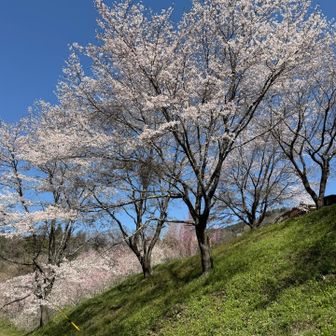 鷹取山登山口へ下りると、
