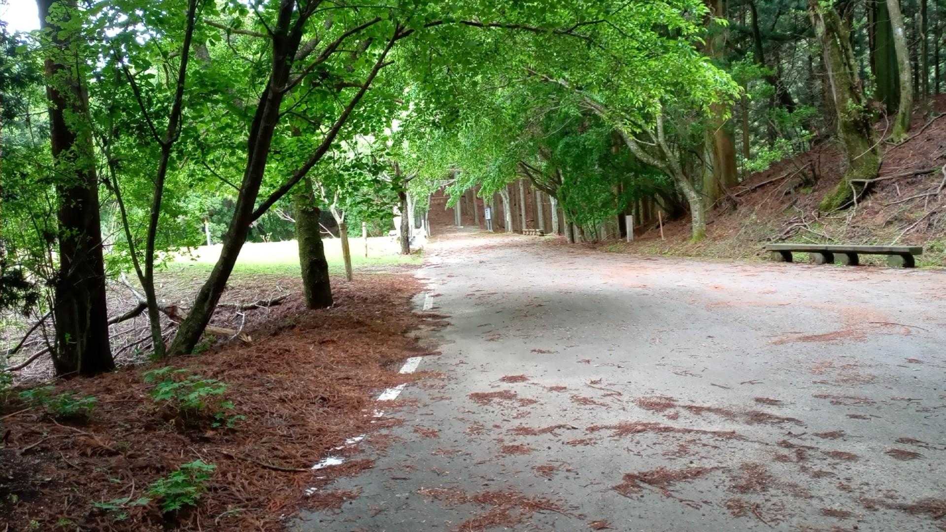 楢原神社駐車場🅿️