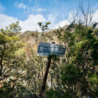 通りすがりのピーク
この辺りから雪❄️