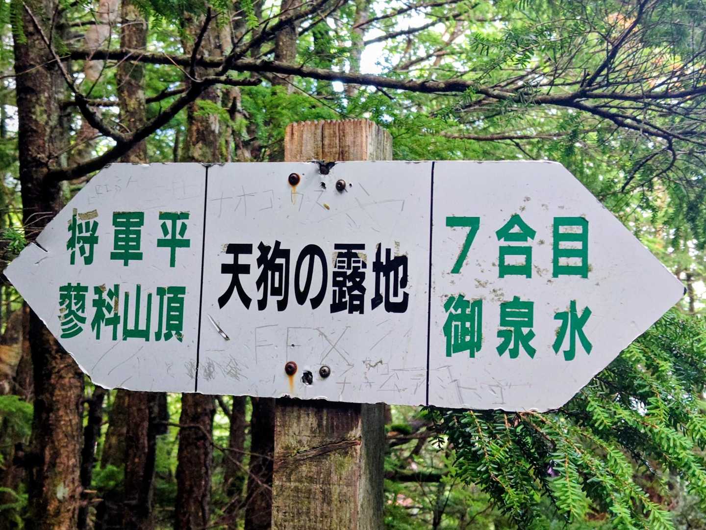 展望スポットへ