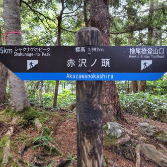 ここまで下ると楽になって来た。
1日目の頭痛の件もあるし、高度の影響もあるのかな🤔

車中泊とテント泊続きで睡眠不足なのか、
気持ちは高ぶってるけど自覚以上に疲労があるのか、
昼は半袖、夜ダウンじゃ身体に響くよな。

まぁ色々な要因が重なったのかもしれません。