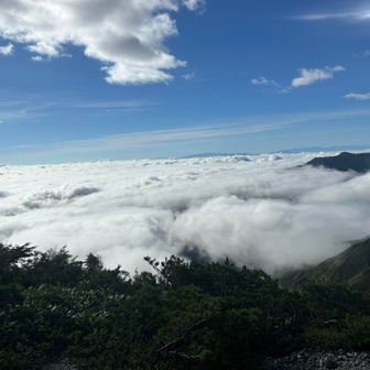 そして八方池から登ったら…

広がる雲海☁️☁️☁️