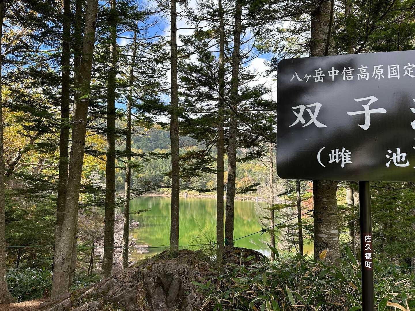 雌池…雄池みたいに近くには行けないみたい🙂