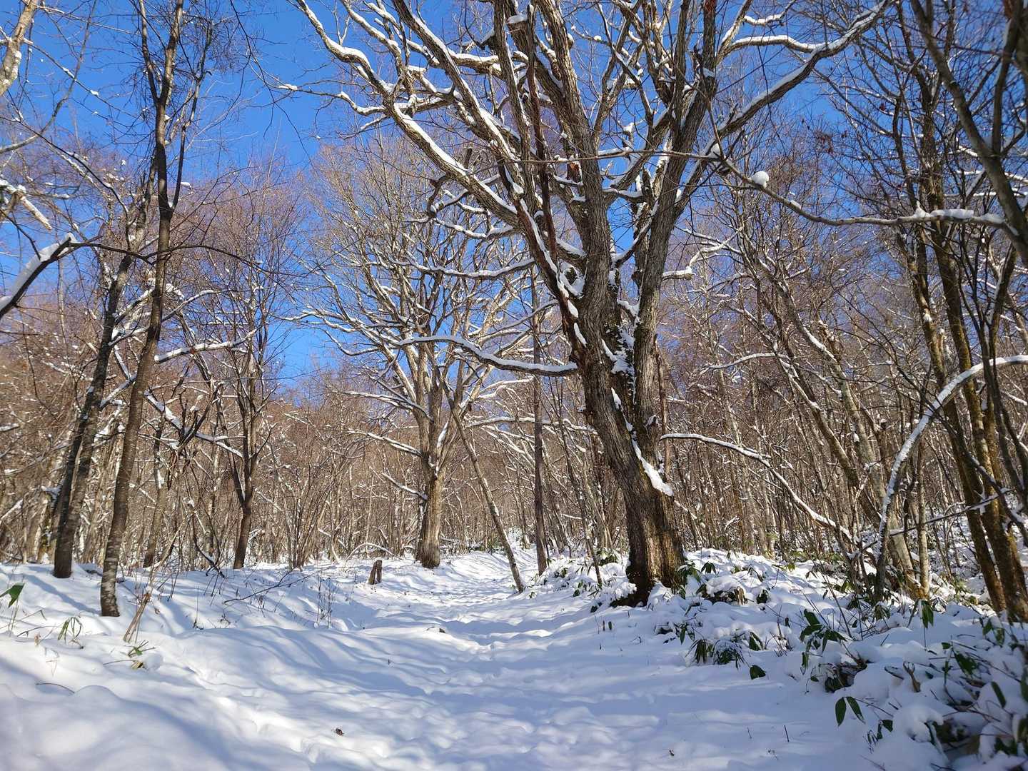 青空〜気持ちよく登っていける