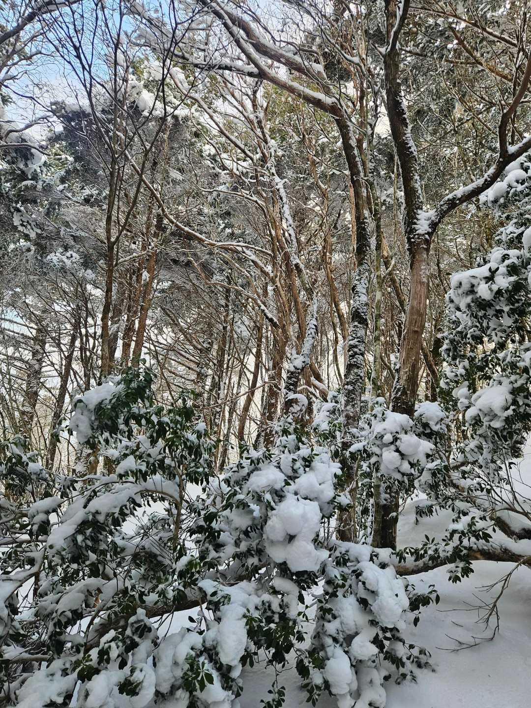 きれいやぁーー！！
えーねー！
良かったねー！と
進まない

進むはずない…光景