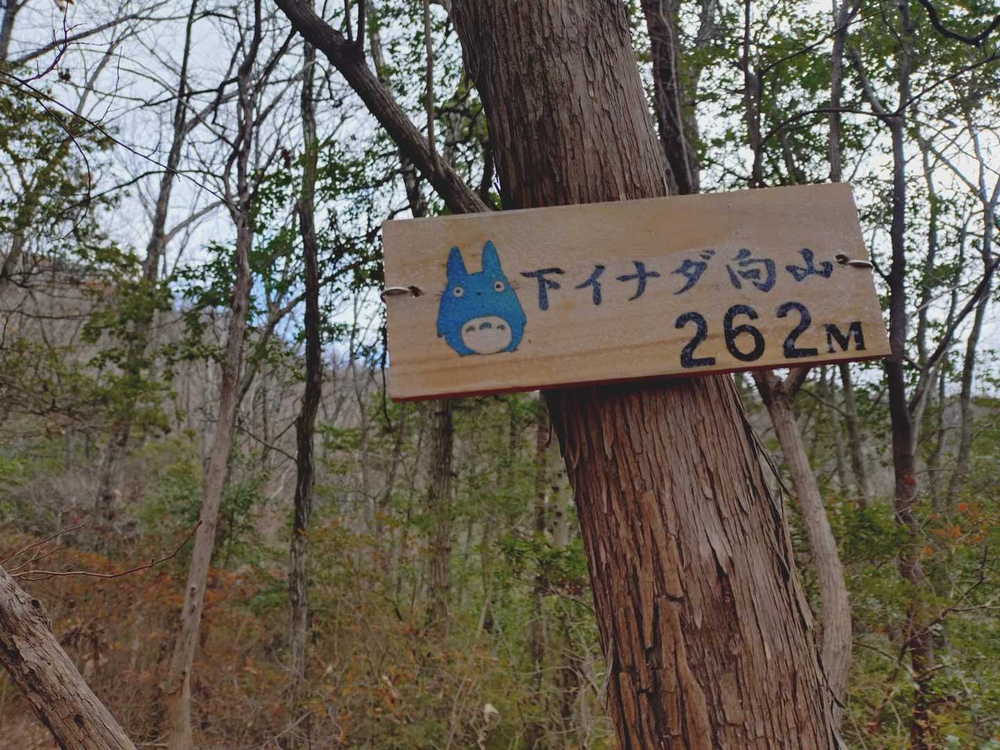 スタートから　7〜8分程で
下イナダ向山　262M