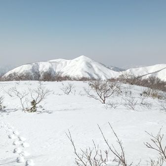 磯倉？だったかな？看板に書いてあった