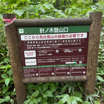登山口に到着