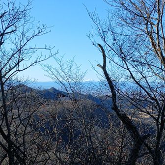 富士山が見えた