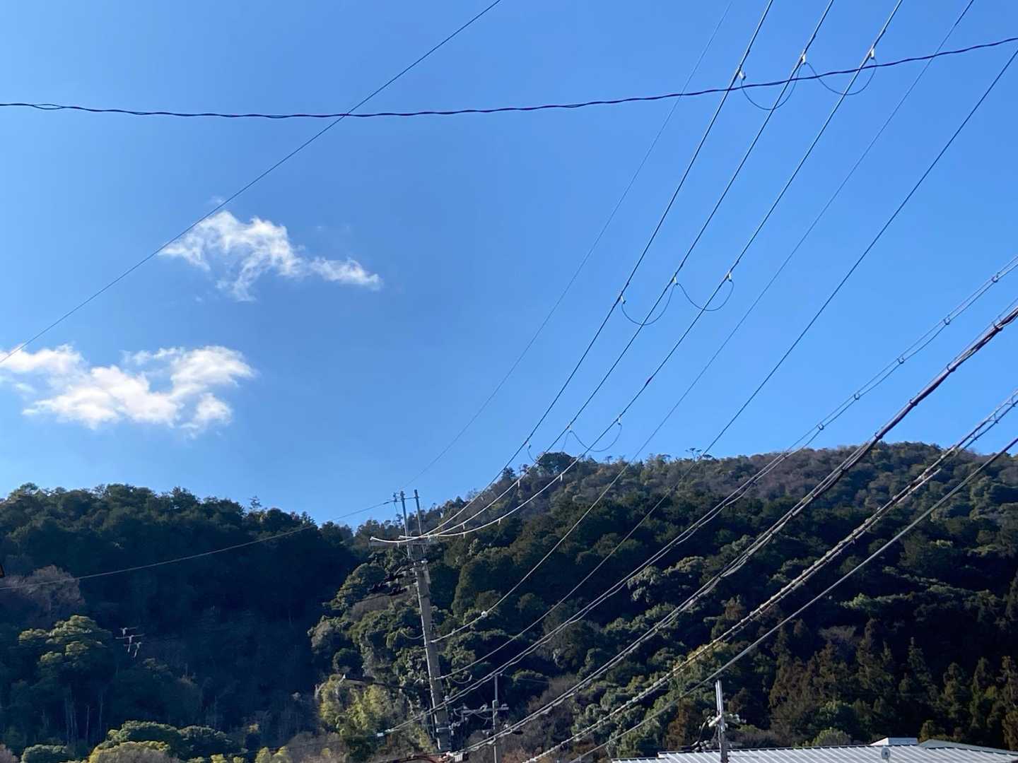 嵐山駅を降りて、いつもは渡月橋を目指すので気づかなかったけれど、山が近い⛰️