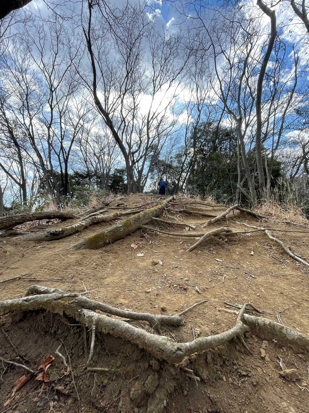 見城山-七曲り峠-日向山 周回コースの写真