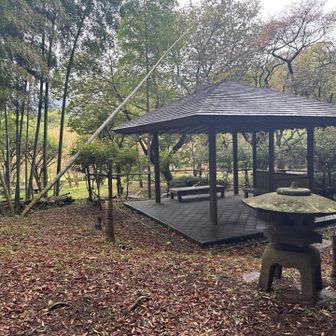 鳥の声が四方から聞こえて来て
とても良い。

写真には撮れなかったけどね。

荒井城の遺構とかは特に解説ないぽいかな。