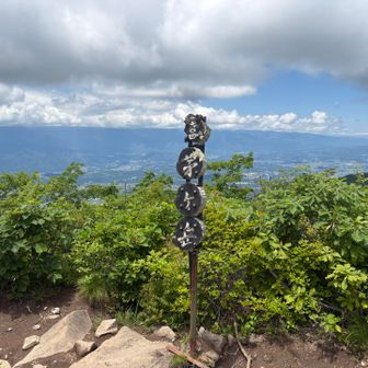 丸い山頂標識はかわいい🩷