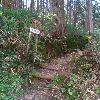 山頂へ