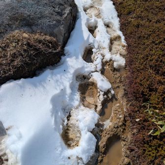 雪解け水でぐちゃぐちゃ
