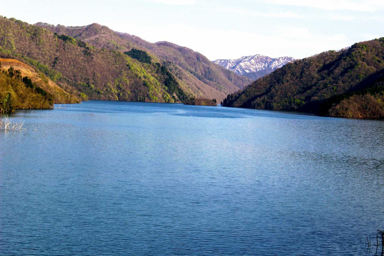 上谷山 往復コースの写真