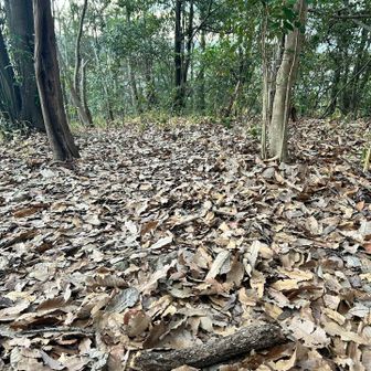 座るところはないです
持って行ってたクッションを敷いてひと休み