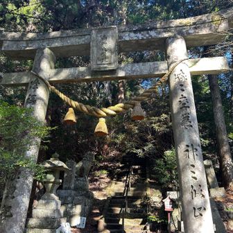 拝観料を払って境内へ
しぐれもみじは終わってました🥲
門をくぐり階段を登ると