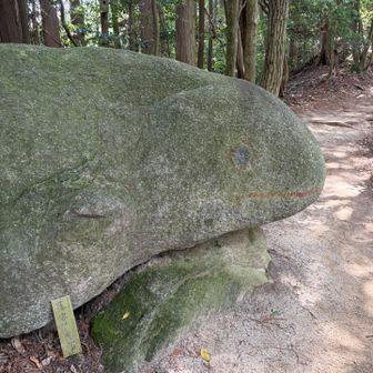 帰りにカエル岩🐸