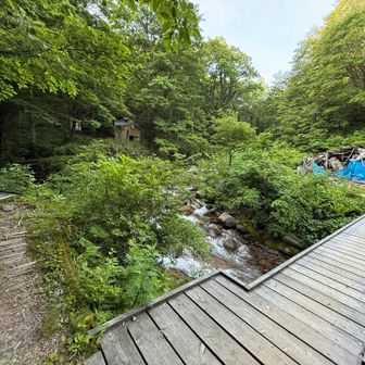 右に進み➡️   左側（鳥原山）から下山予定